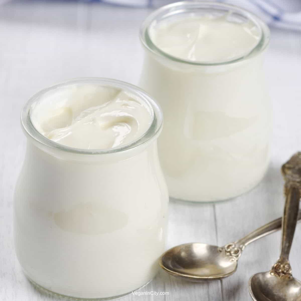 Is Greek Yogurt Vegan? (+Vegan Greek Yogurt Recipe) Vegan In City